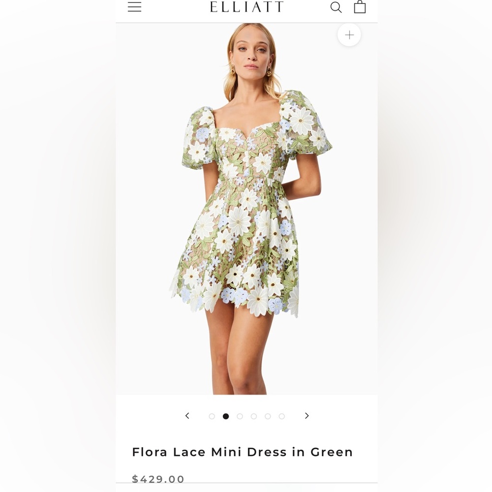 Elliatt Flora Lace Mini Dress in Green